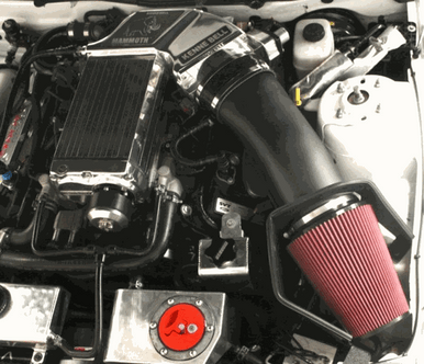 BMR 05-14 S197 Mustang Bolt-On Parachute Mount