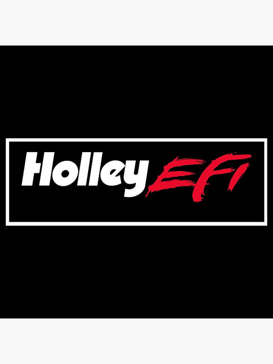 Holley EFI Custom Terminator or Dominator Dyno Tuning